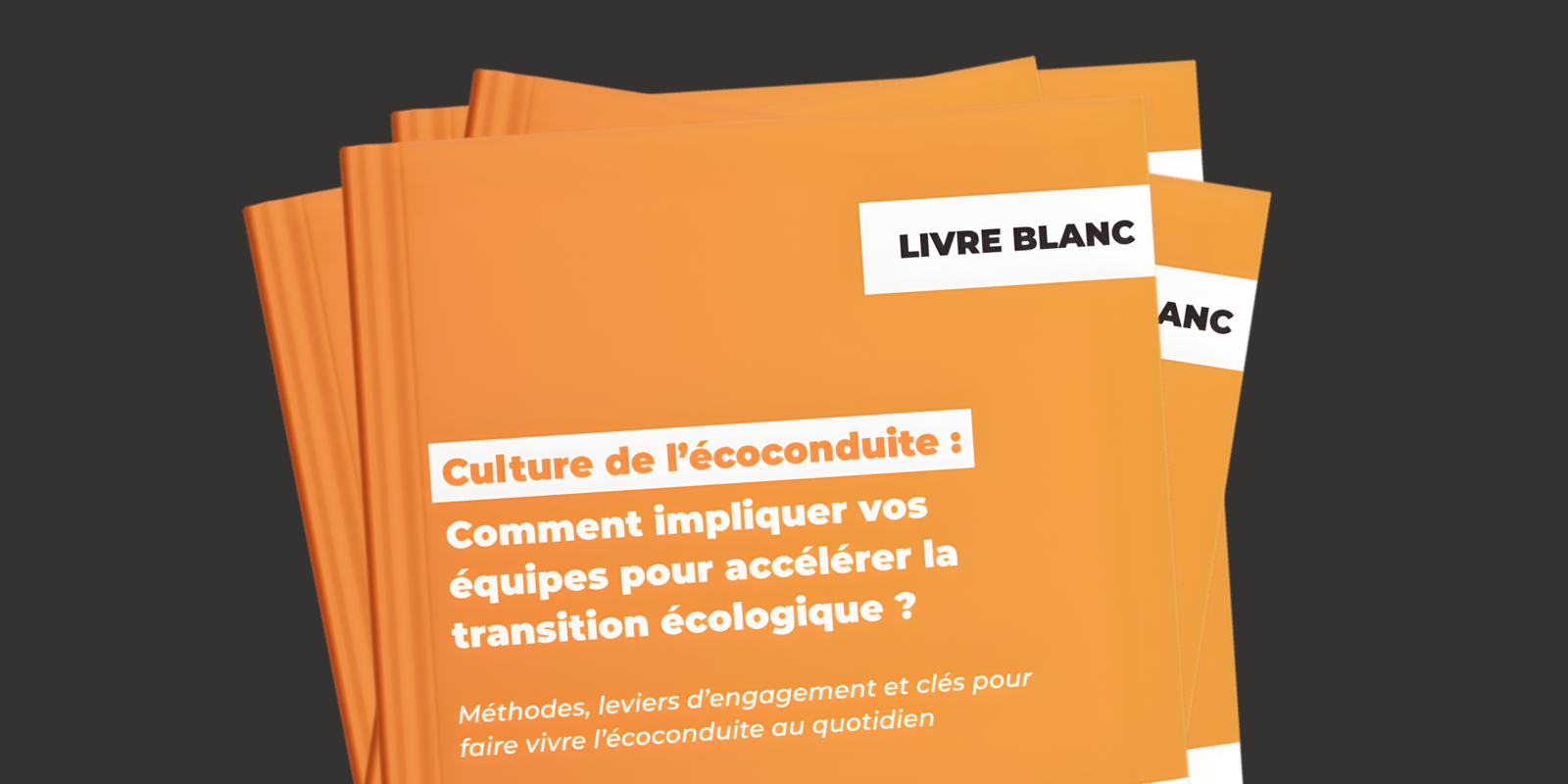 Bannière email marketing livre blanc écoconduite
