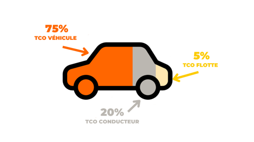3 types TCO